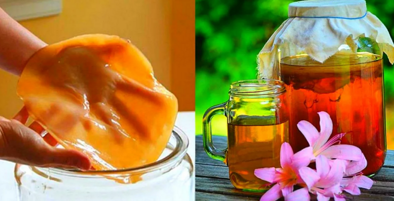 [Анна Fermenterra] [Fermenterra] Чайный гриб с нул_0.png